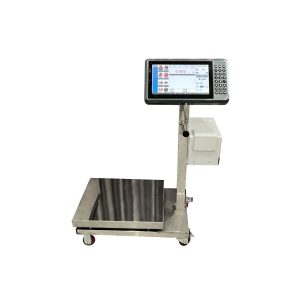 100kg platform scale