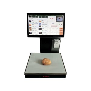 SPTT10 Dual POS scale